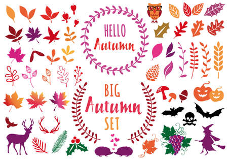 Autumn leaves and flowers for Halloween conceptのイラスト素材