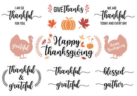 Thanksgiving cards, hand lettering and hand drawn graphic design elements, vector setのイラスト素材