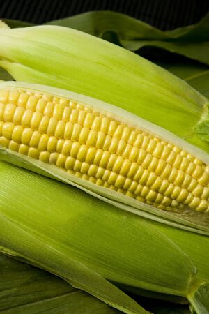 Sweetcorn cob, with sealed cobs and corn leaf background.の写真素材