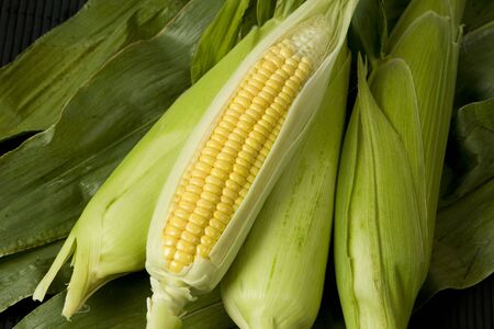 Sweetcorn cobsの写真素材