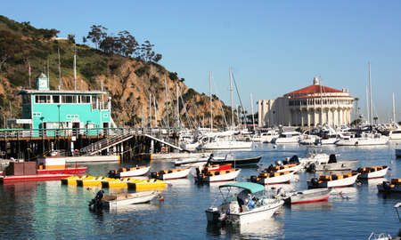 Colorful boats in Avalon Harborのeditorial素材