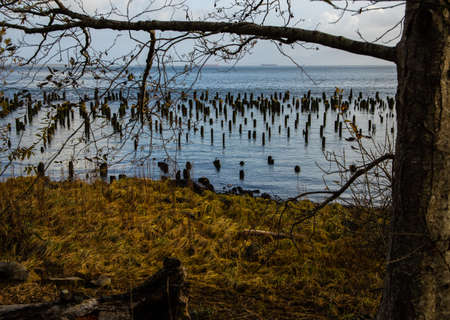 View from Knappton Point, where today all that remains are old pilings and a stone monument on the Columbia riverbank west of the old town locationの写真素材