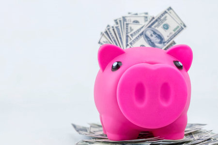 Pink piggy bank on pile of 100 dollar notes