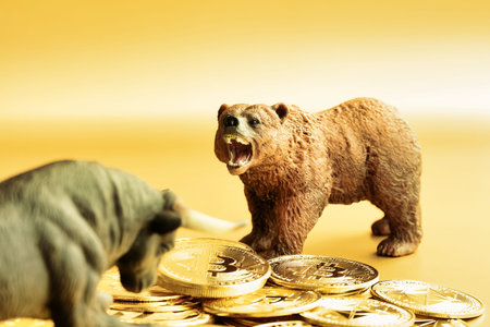 Bear and bull fighting over bitcoins against golden background. Market down trend concept.の写真素材