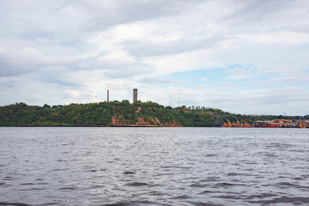 Landscape view along Rio Negro river taken from a boat view in Manaus, Brasil on June 5, 2019のeditorial素材