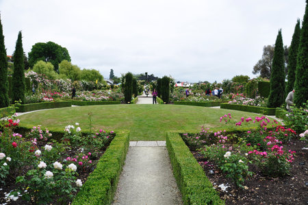 People visiting beautiful landscape of roses in Trevor Griffiths Public Rose Garden in Timaru, New Zealand on Nov 28, 2010のeditorial素材