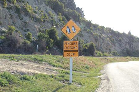 Penguin crossing sign in Friendly Bay, Oamaru town in New Zealand on Nov 28. 2010のeditorial素材