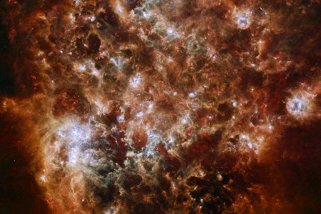 Starfield. Cosmos art.
