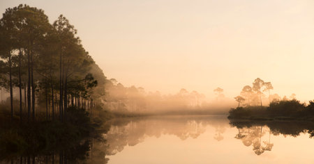 Calm summer morning by the lakeの写真素材