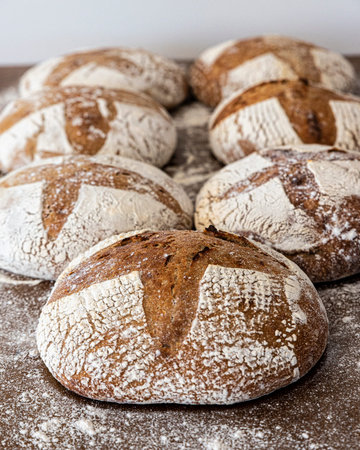 Raw loaves of bread