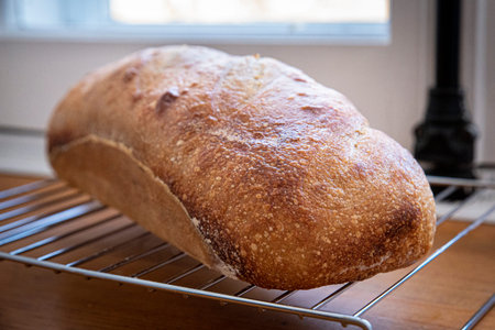 Raw loaves of breadの写真素材