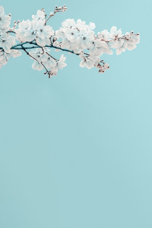 Cherry blossom branch on turquoise background. copy space for textの素材