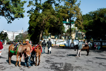 The Darjeeling Mall The Chowrasta or the Mall is the heart of Darjeeling town. Located on top of Nehru Road, this is a nice flat land where tourists and locals come to lounge in the sun, take a seat on one of the many benches along the periphery, and watcのeditorial素材