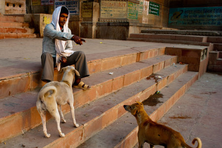 A man is feeding street dogs at staircases on riverbanks in Varanasi, India. Feeding birds and animal is a part of offering in Hindu Mythology. The Hindu pilgrims believe God has taken their offerings through these creatures. So pilgrims generally feed anのeditorial素材
