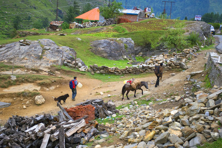 A porter and his donkey leads a trekker through hilly village way. A dog follows them.のeditorial素材