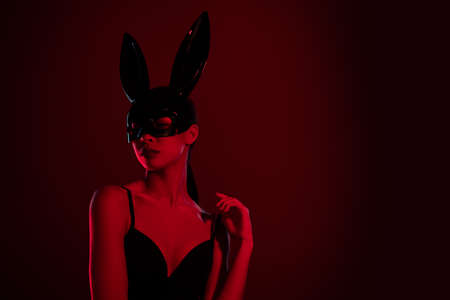 Photo of erotica stylish chic lady babe in night club wearing bunny costume isolated on maroon color backgroundの写真素材