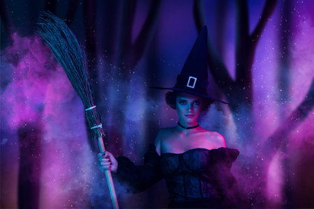 Magazine creative image collage of sorceress wicked lady fly creepy woods use magic broomstick on...