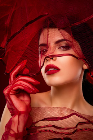 Magnificent Graceful woman with stylish makeup and red themed attire featuring a sheer veilの写真素材