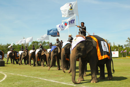 End of Tournament Celebrations The Kingâs Cup Elephant Polo 2013, 1st September, Hua Hin, Thailandのeditorial素材