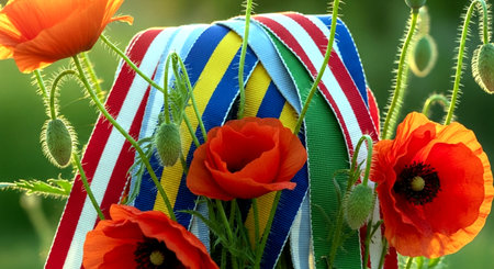 Poppies and ribbons in the garden, close-upの素材