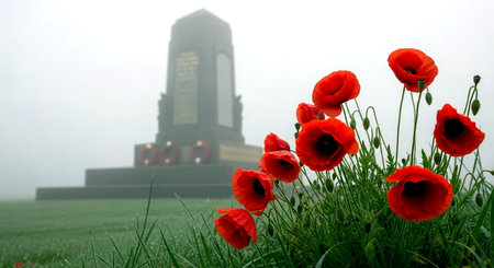 Red poppies on the background of the monument in the fogの素材