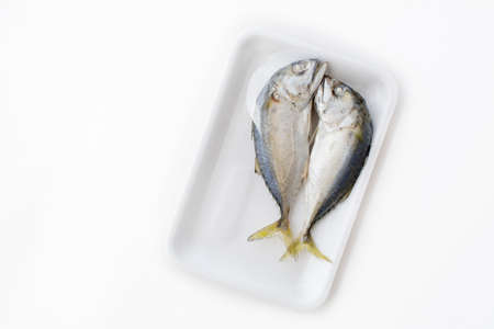 top view isolated couple delicious steamed mackerel in foam packの写真素材