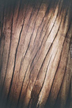 soft focus vintage style old aged wooden with crack pattern background