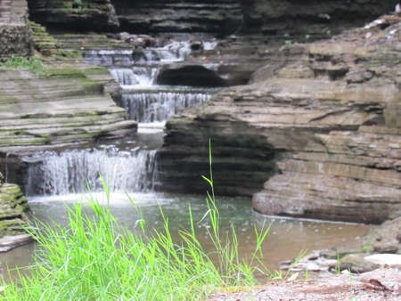 Collection Pondの写真素材