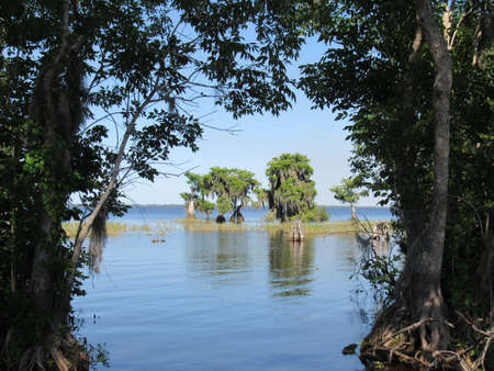 Passage Wayの写真素材