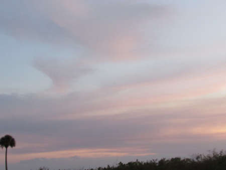 Peach Skyの写真素材