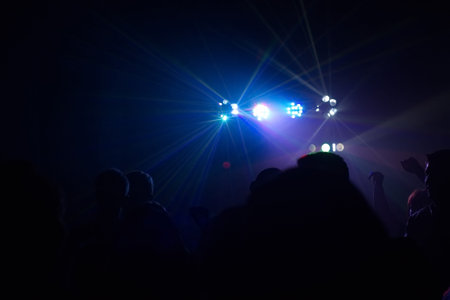 people having fun in a disco. blur effect