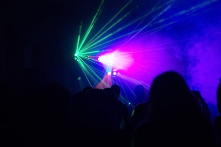 people having fun in a disco. blur effect