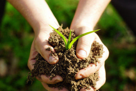 Female hands holding soil and plant, closeup