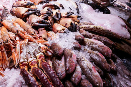 Sea shells being sold at a market in Copenhagen, Denmark.の写真素材