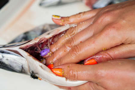 Woman preparing tasty mackerel fish on table in kitchenの写真素材
