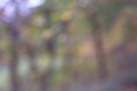 blurred autumn forest bokeh background with small raindrops, autumn forest textureの写真素材