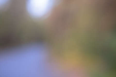 blurred autumn forest bokeh background with small raindrops, autumn forest textureの写真素材