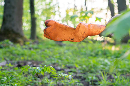 The guy's hand collects garbage in the forest, a dirty bottle in his handsの写真素材