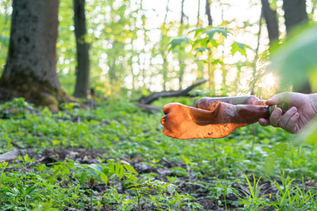 The guy's hand collects garbage in the forest, a dirty bottle in his handsの写真素材