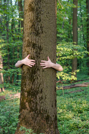 Tree hugging. Close-up of hands hugging treeの写真素材
