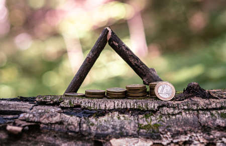 coins under the protection of a wooden roof as a symbol of growth and protection of incomeの写真素材