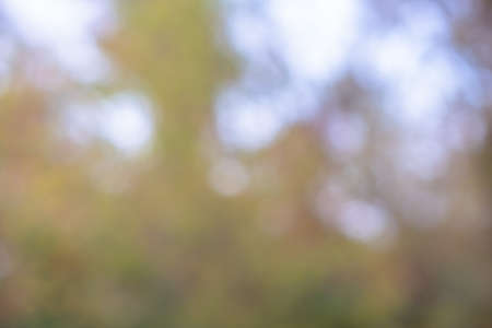 blurred autumn forest bokeh background with small raindrops, autumn forest textureの写真素材