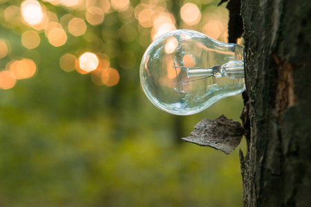 A light bulb grows from a tree trunk as a symbol of renewable energy