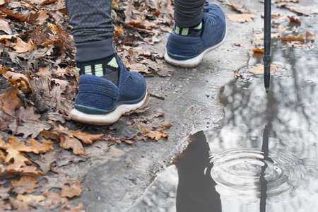 back view of young sport man with strong calves muscle running outdoors in off road trail trees track under beautiful Autumn sunlight in fitness, countryside training and healthy lifestyle conceptの写真素材