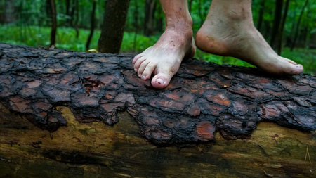 a man walks in nature with bare feet, tree trunks