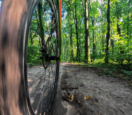 view of the front wheel of a bicycle in motion, a ride in the forest