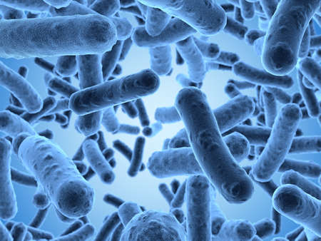 Bacteria seen under a  scanning microscopeの写真素材