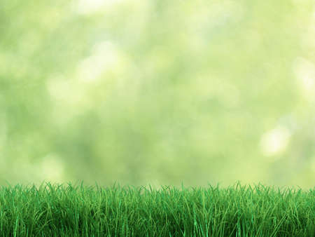 Very high resolution illustration of fresh grass with defocused backgroundの写真素材