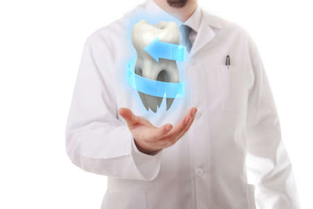 Male doctor showing a molar toothの写真素材