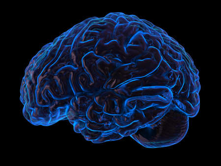 Very high resolution 3d rendering of an human brain の写真素材
